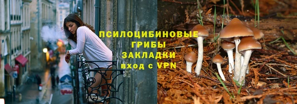 мяу мяу мука Алексеевка