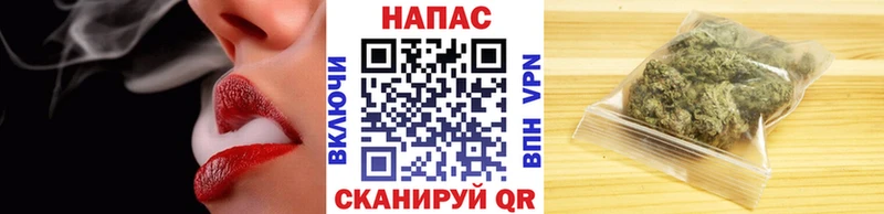 Каннабис сатива Борисоглебск